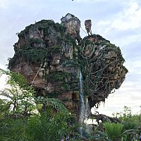 WDW スティッチ ドリンクボトル アニマルキングダム WDW スティッチ ドリンクボトル アニマルキングダム ディズニー