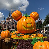上海ディズニー ハロウィン ハロウィーン 2020年 SS 09eeaa095b6c62de175fb05b494a90