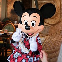 Disney - おはな WDW】オハナ | ウォルト・ディズニー・ワールド（フロリダ）の
