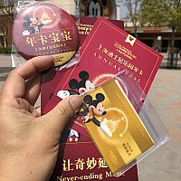 年間パスポート 上海ディズニーリゾートのクチコミ 感想