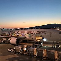 JAL特別塗装機 セレブレーションエクスプレス