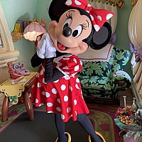 コロナ後だからわかる、ドットミニーの有難み（カリフォルニア）