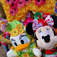 TDS】ミニーのトロピカルスプラッシュ 2016 | 東京ディズニー TDS】ミニーのトロピカルスプラッシュ 2016 | 東京ディズニー