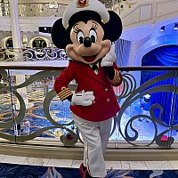 2939.海外ディズニークルーズラインピン アーティストチョイス スティッチ ディズニークルーズライン スティッチ 振り向き