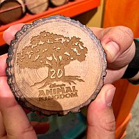 ディズニー　アニマルキングダム　20周年　ピン Disney's ANIMAL KINGDOM/ディズニー・アニマルキングダム (WDW