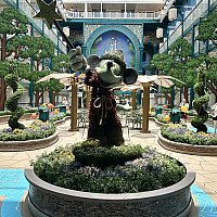 ディズニークルーズ アドベンチャー号　ストロー付きボトル★DCL ディズニーワールドファン.JP – DCL】ディズニーアドベンチャー号 その他