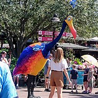 世界で一番珍しい鳥 ケビンに会ってきました キャラクター グリーティング フロリダ