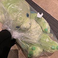 ダッフィー 少し大きいサイズのぬいぐるみ 2025】ダッフィーぬいぐるみまとめ！S・M・Lサイズごとにご紹介！