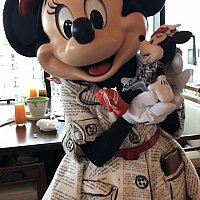 超レア品♡ミッキー&ミニー☆ツリートッパー♡ 東京ディズニー 2025年限定 ミッキーミニー ツーピースタオル 85g - Weee!