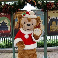 wdwダッフィー WDW/ウォルトディズニーワールド・開園40周年記念・12インチ