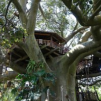 ファミリーツリーハウス（ケナー社　1975年　アメリカ製） ファミリーツリーハウス（ケナー社 1975年 アメリカ製） 9歳の少年が建てた