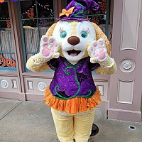 香港ディズニーのハロウィーン2023のグリーティング情報！会えた