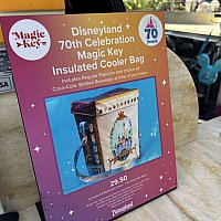 ば*な様 ★年パス限定★カリフォルニアディズニー マジックキー ポップコーンバケ p*！様 ☆年パス限定☆カリフォルニアディズニー マジックキー