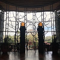 Wdw ディズニー アニマルキングダム ロッジ フロリダ のクチコミ 感想