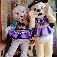 2020年ハロウィーンイベントの様子（上海）
