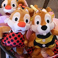 チップ＆デールの新作に釘付け！上海ディズニーのオススメグッズ紹介☆