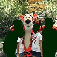 プーさんの冒険 ディズニーランド アナハイム のクチコミ 感想