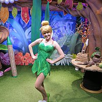 限定500 ダイヤ型 ディズニー ティンカーベル 置物 スカルプチャー WDW