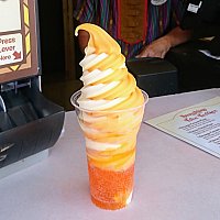 看板娘はオレンジバード♪柑橘系の美味しいソフトクリームのお店です