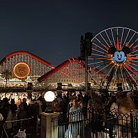 2602海外ディズニーランドアナハイムキャストピントラッシュカン