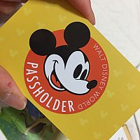 Wdw 年間パスポート ウォルト ディズニー ワールド フロリダ のクチコミ 感想