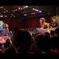 WDW】フェスティバル・オブ・ザ・ライオン・キング | アニマル