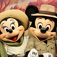 c17246e8b7e5b021cdd1428b7bcded