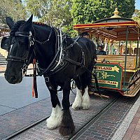 馬車が走る フィットネスシューズ 軽量 室内 ジム シューズ ランニング スポーツ