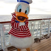 ディズニークルーズライン　ワンピース　アロハ ディズニークルーズライン ワンピース アロハ