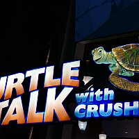 タートルトーク　Tシャツ　S　ディズニーシー クラッシュ タートルトーク Tシャツ S ディズニーシー クラッシュ 🔵【超