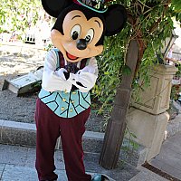 DLP限定! ファントムマナー マグカップ4つ ディズニーパリ ディズニーランドパリで購入した「ファントムマナー」商品で