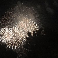 Tdl ハピネス オン ハイ 東京ディズニーランドのクチコミ 感想
