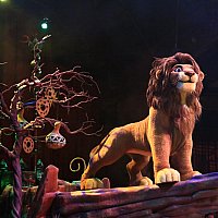 Wdw フェスティバル オブ ザ ライオン キング アニマルキングダム フロリダ のクチコミ 感想