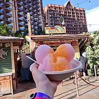 可愛くて美味しいミッキー型のシェイブアイス！（アウラニ）