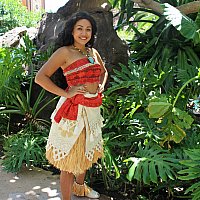 アウラニ　モアナ　クッション モアナに会ってきました！ キャラクター・グリーティング（アウラニ）