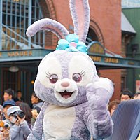 TDS】ステラ・ルーのグリーティングドライブ | 東京ディズニーシーの