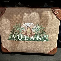 アウラニで販売しているバッグを紹介！ グッズ・お土産