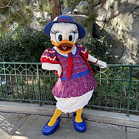 ブエナミッキー、ミニーが時間になっても現れなかった | キャラクター