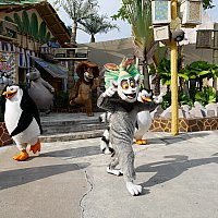 ペンギンズがかわいくて堪らない ノリノリのショーは必見 マダガスカル ブーギー シンガポール