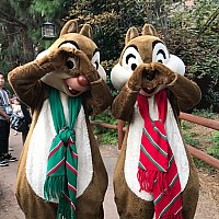 チップとデール　アドベントカレンダー　海外　クリスマス　ディズニーランドパリ チップとデール アドベントカレンダー 海外 クリスマス
