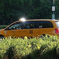 タクシー ディズニーランド リゾート アナハイム のクチコミ 感想