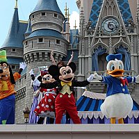 ドナルドの魅力溢れるキャッスルショー | ドリーム・アロング・ウィズ