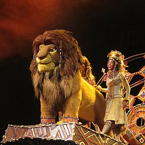 フェスティバル・オブ・ザ・ライオン・キング