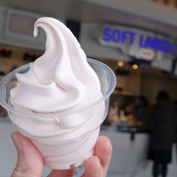 空いてて楽チン Tdlの快適なソフトクリーム屋さん ソフトランディング