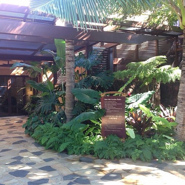 結婚式も兼ねた家族旅行でアウラニへ ラニヴァイ ディズニー スパ