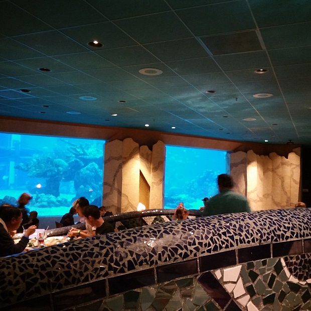 おしゃれな水族館でシーフードを | コーラルリーフ・レストラン おしゃれな水族館でシーフードを | コーラルリーフ・レストラン