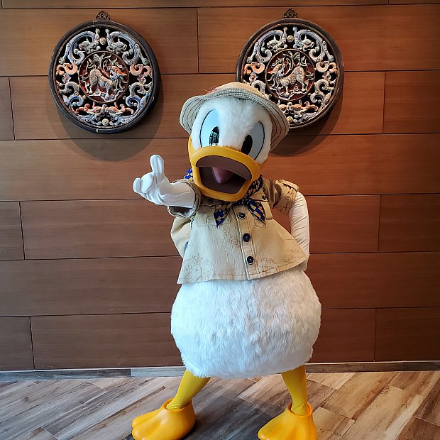 探検家衣装のドナルドとのキャラダイ | ドラゴン・ウィンド（香港）