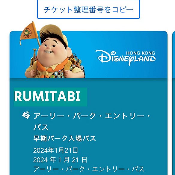 通行証 2024/2/21 ディズニー アーリー 分つ