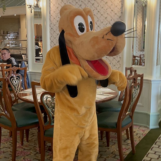 朝は特に時間に余裕をもって | エンチャンテッド・ガーデン