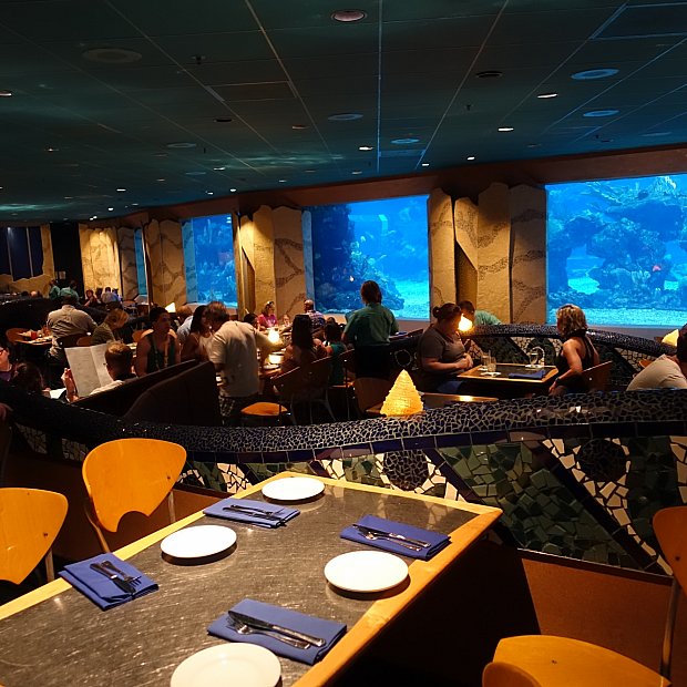 巨大水槽を眺めながら食事ができる海底レストラン フロリダ